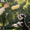 Easy to Clean Odor-free Pet Accessory Made From Flexible 1 Pc