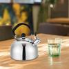 Kettle with Loud Whistle, Stainless Steel, Handle, Tea Maker, for Camping, Picnic,