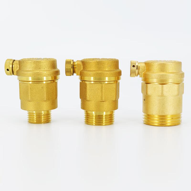 Haishidik Automatic Brass Air Vent Valve
