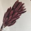 Yunnan Dried Flowers Bouquet - Rabbit Tail Grass