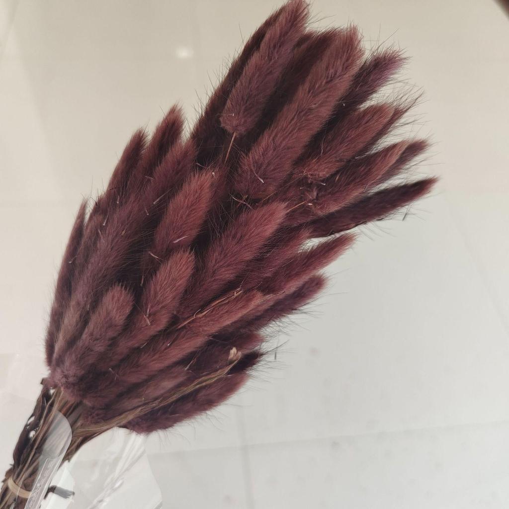 Yunnan Dried Flowers Bouquet - Rabbit Tail Grass
