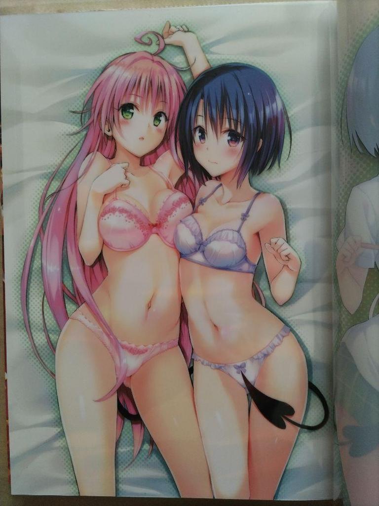 [USED] Collector's Edition Comic To Love-Ru Darkness Art Book Harem Gold