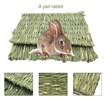 Voor dieren – Knaagdieren