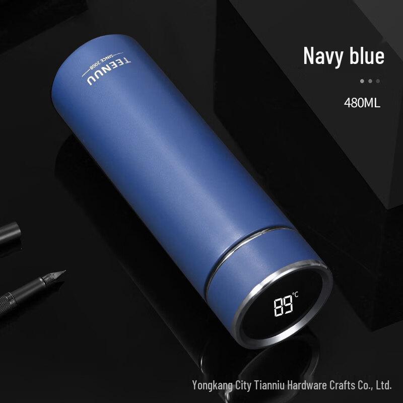 OLOEY Men s Stainless Steel Insulated Water Bottle (2-Pack)