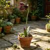 Progettazione giardini e paesaggi – Decorazioni per il giardino