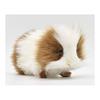 BH3735 Guinea Pig 20