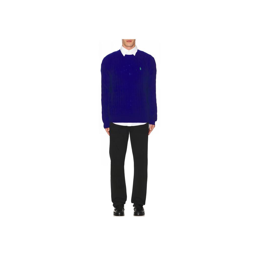 Polo Ralph Lauren Solid Color Logo Embroidered Crew Neck Pullover Sweater Men Sweater Purple 710876762-024