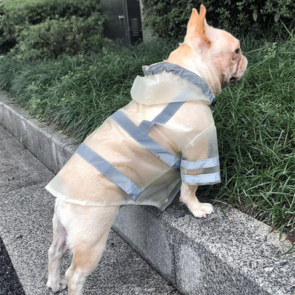 EVA Miljövänligt Material Valp Regnrock Med Huva S-XXL Hund Regnjacka Utomhusaktiviteter