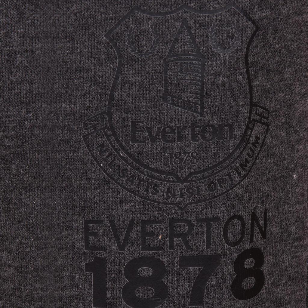 Everton FC Boys Fleece Slim Jogging Bottoms