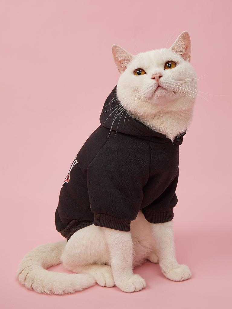 Pet Clothes for Dog Cat Puppy Hoodies Coat MOMMY'S BOY Sweatshirt Dog  Outfits for Small Medium Dog Cat