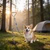 Outdoor Zink-Chrom Hundespieß mit einziehbarer Leine für Haustiertraining und Sicherheit im Garten