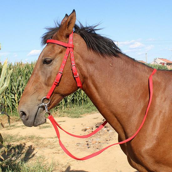 Adjustable Horse Bridle & Harness Set with Water Bridle, Bit & Handmade Reins - Equestrian Gear