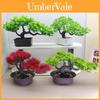 Árvore Bonsai de Zimbro Falsa Planta de Interior Verde Decorativa Planta Falsa Para Decoração de Casa