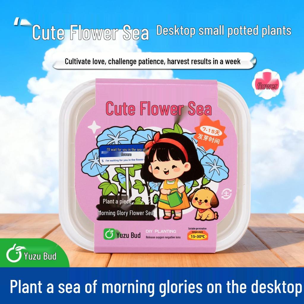 Creative DIY Flower Seeds Kit: Planting Pot for Students' Birthdays and Desktop Decor