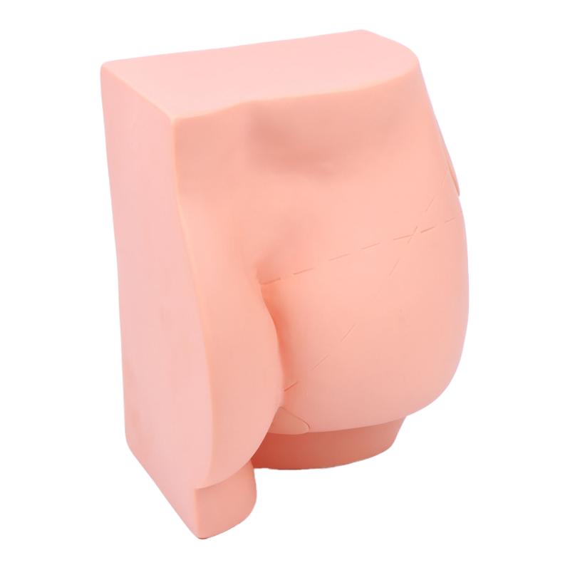 Human Adult Hip Injection Training Model Reusable Manikin Teaching Intramuscular Anatomical Models For Nurse Medical Students