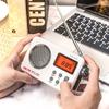Tragbares Radio FM & AMLCD-Bildschirm unterstützt 5-V-Eingang Bass AM-Radio Timer Alarm Timer Abschaltung Speicher Frequenz Programm Weiß & Schwarz
