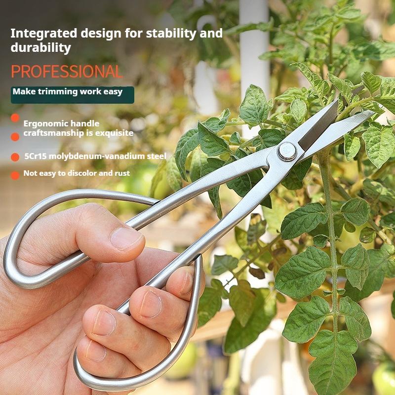 

Vegetable Tender Leaf Scissors Pruning Flower Art Special Scissors All-steel Integrated Pruning Shears Bonsai Gardening Scissors Tools 1 Pack