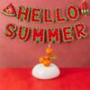 Paper Hello Summer Banner Festival Watermelon Spiral Hanging Flag  Party Favors