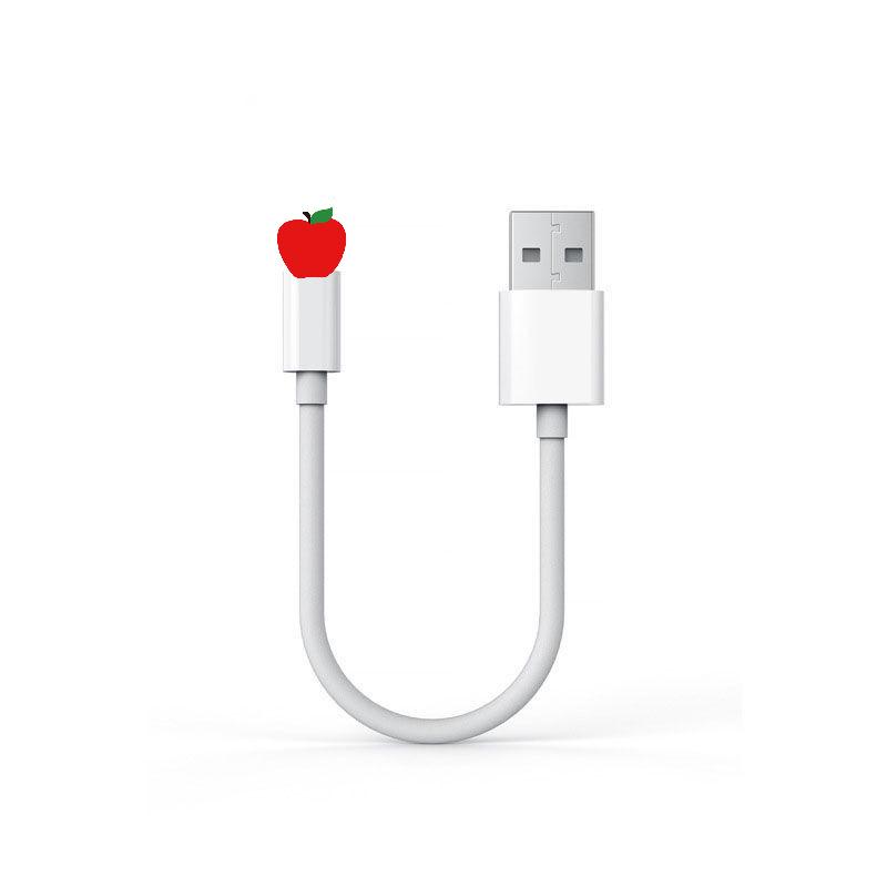 Macaron PD 120W Fast Charging Braided Cable, 6A, Compatible with Apple Devices 25 cm