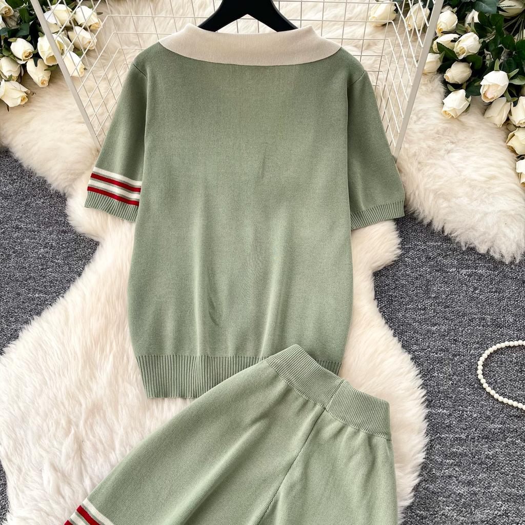Lässiges Strick-Set mit süßem Welpenmotiv für Damen, Sommer, Umlegekragen Pullover-Top und Weitbeinige Hosen, Zweiteiliges Set für Damen