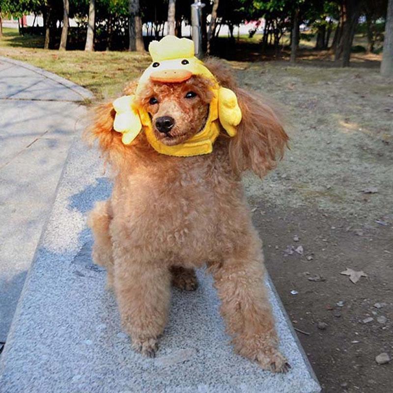 Entzückende Hübsche Haustier Hund Katze Hut Mütze mit Rentier- und Entenkostümen