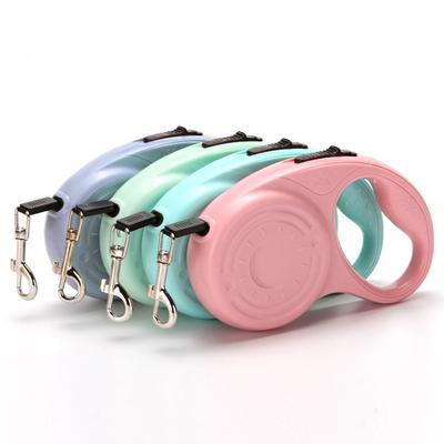 Cani – Collari e guinzagli per cani