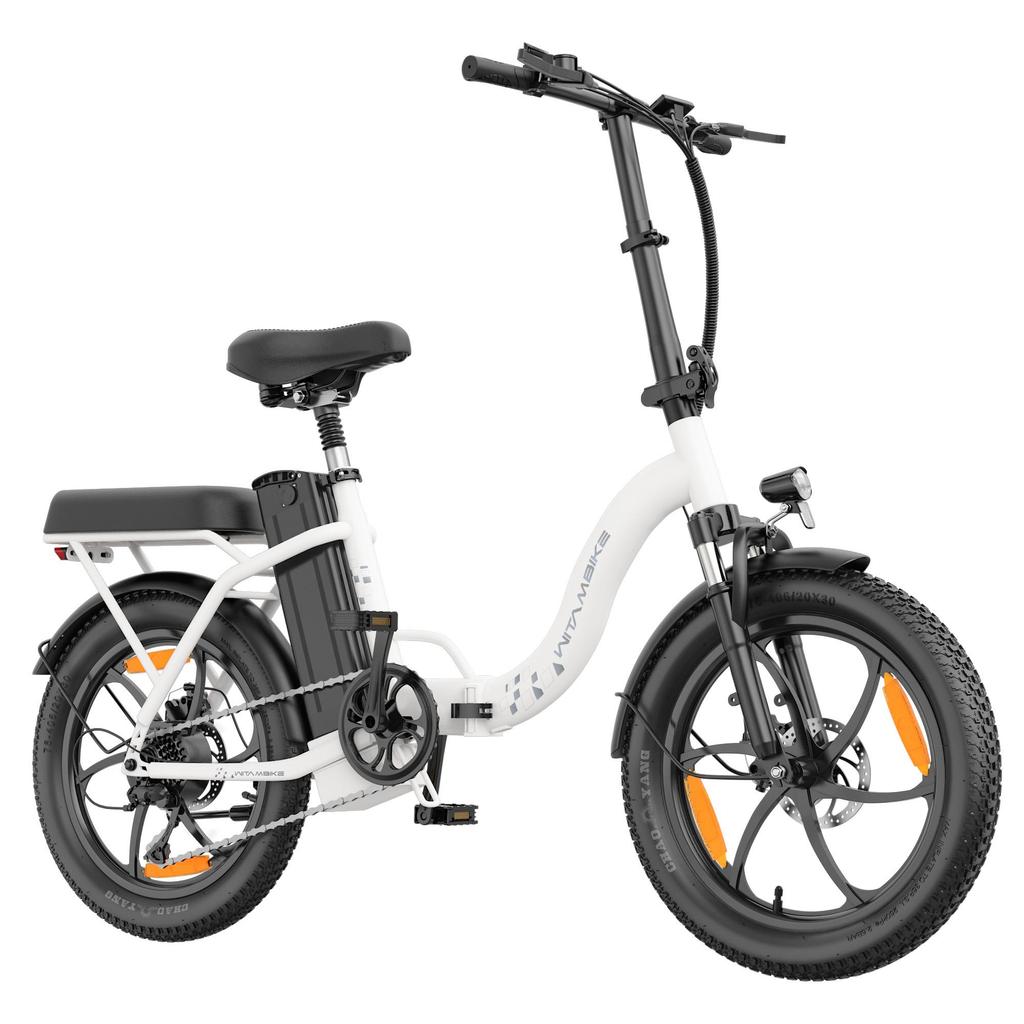 20-inch Folding Electric Bike 250W Motor 48V 16Ah Battery 25km/h 100km Range 20x3.0-inch Fat-Tire Electric Bicycle