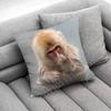 Monkey Funny Tape Throw Pillow Case For 30X30Cm 40X40Cm 45X45Cm 50X50Cm 55X55Cm Square Sofa Pillowcase Shell