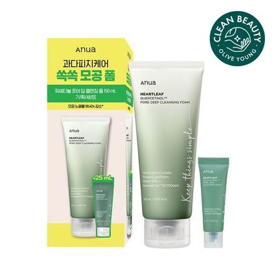 Houttuynia cordata Talgentfernung Porenschaum 150ml Spezial (+25ml gratis)
