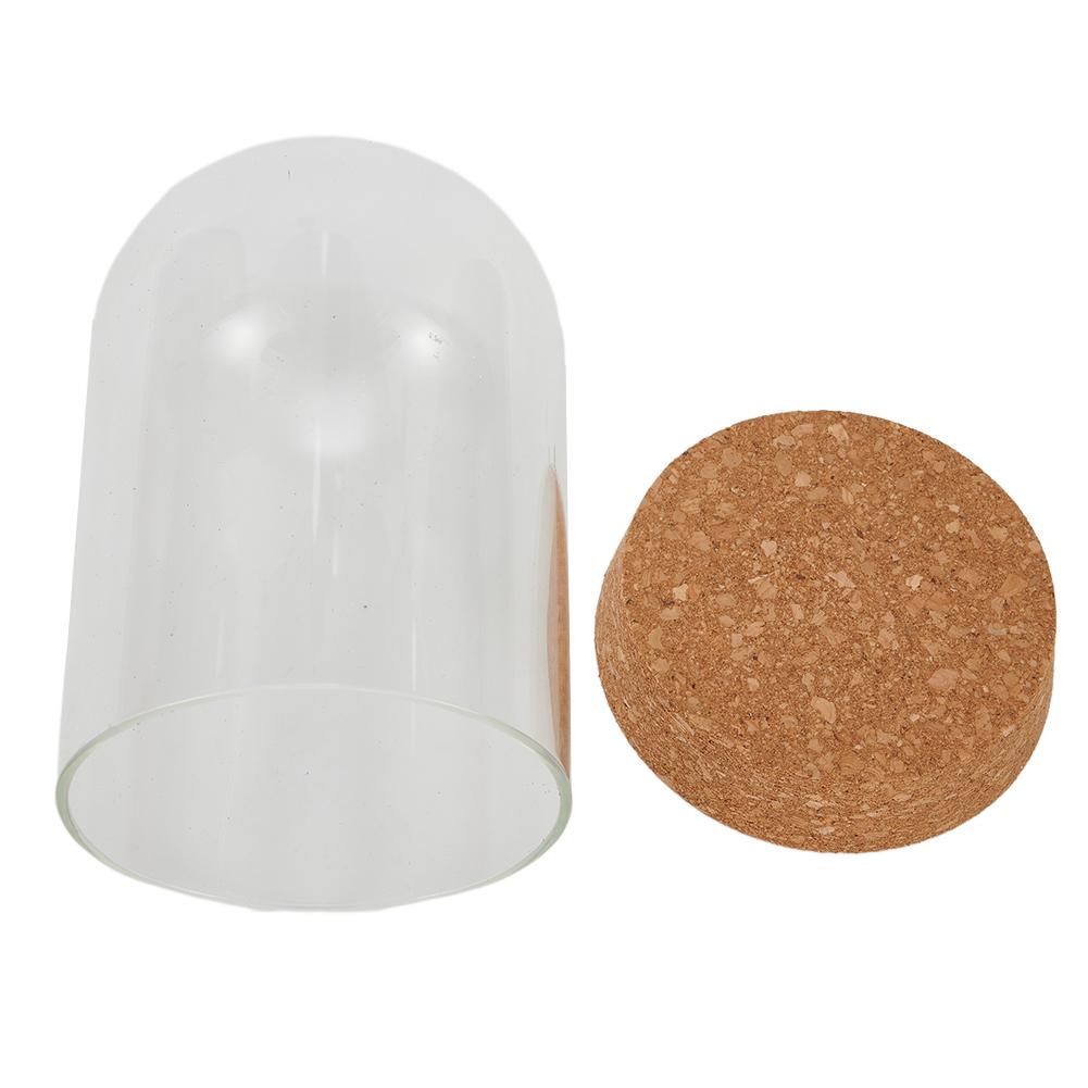 Clear Glass Hemisphere Cover Glass Dome Cover For Flower Succulent Plants Vase With Wood Cork Table Decor Dry Flower Decor