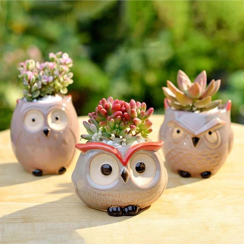 Ceramic Owl Flower Pot Cute Animal Thumb Flower Pot Mini Succulent Cactus Flowerpot Home Living Room Office Decoration Gifts