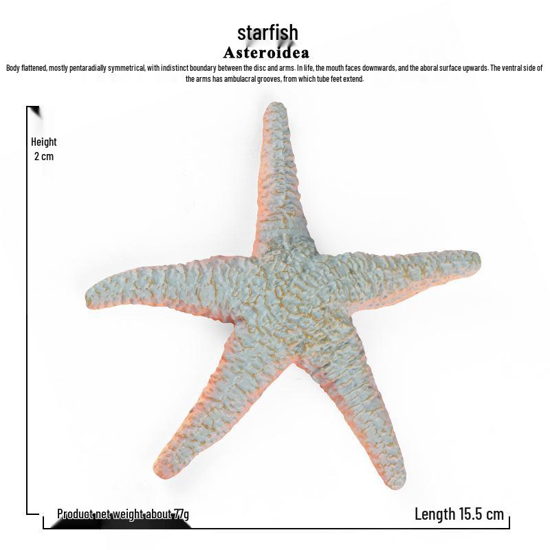 Kids Marine Animal Model: Starfish Underwater Display Toy