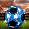 SIZE 5 Erzurumspor FK Soccer Ball Colorful All Ages Machine Stitched PVC Competition Ready Durable High-Bounce