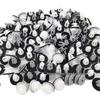 Car Door Panel and Rear Window Glass Fasteners for Baoma 51-41-8-224-768