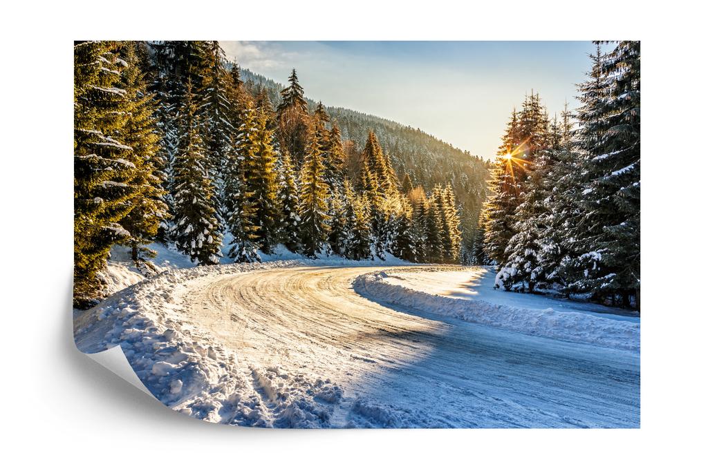Photomural Winter Forest Smooth Vinyl 360x240