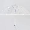 Women's Stylish Transparent Umbrella with Long Handle - Lightweight, Fresh Design, Perfect for Students and Outdoor Use.