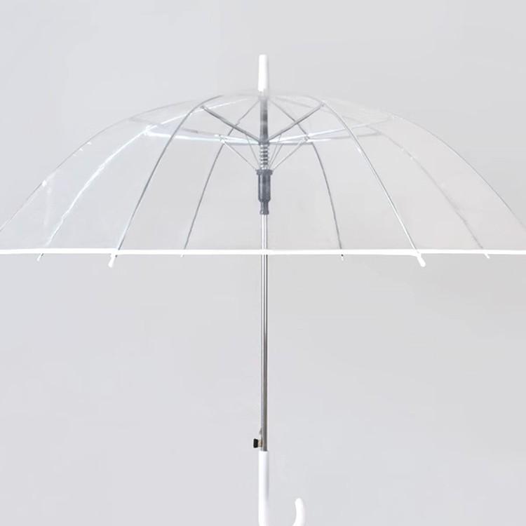 Women's Stylish Transparent Umbrella with Long Handle - Lightweight, Fresh Design, Perfect for Students and Outdoor Use.