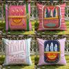 Cartoon S-Sardine C-Can Cute Cushion Cover Home & Car Dual-Scene Pillow Cover: Reversible for Premium Comfort