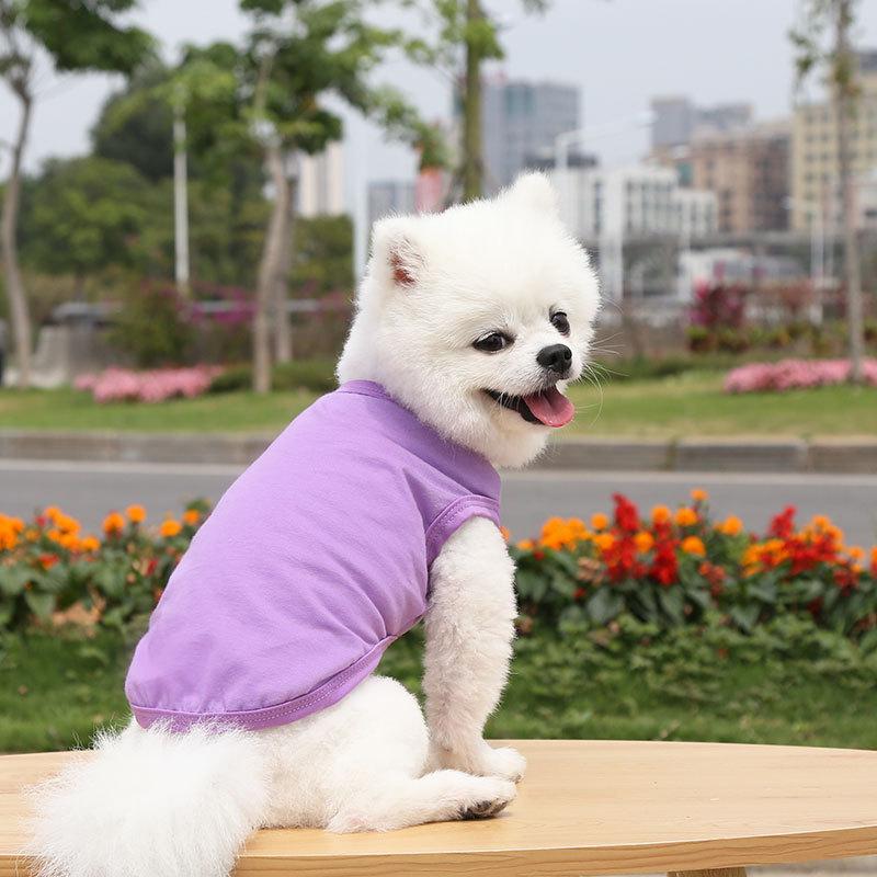 Teddy than the bear cat small medium and large dog dog spring and summer new pet clothes vest dog supplies cat bipod