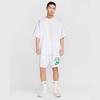 Nike Men's Casual Short Sleeve T-Shirt HF9607-100