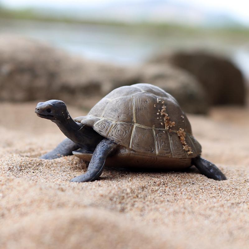 Oenux Ocean Animals  Leatherback Tortoise Turtle Growth Cycle Sea Life Model Figurines Action Figures Pvc Education Kid Toy Gift