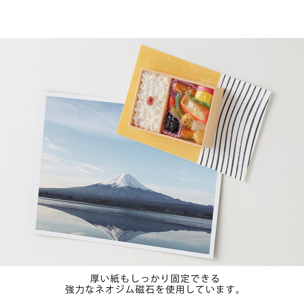 Midori Magnet Bento Box Design (1 piece) - (43438006)