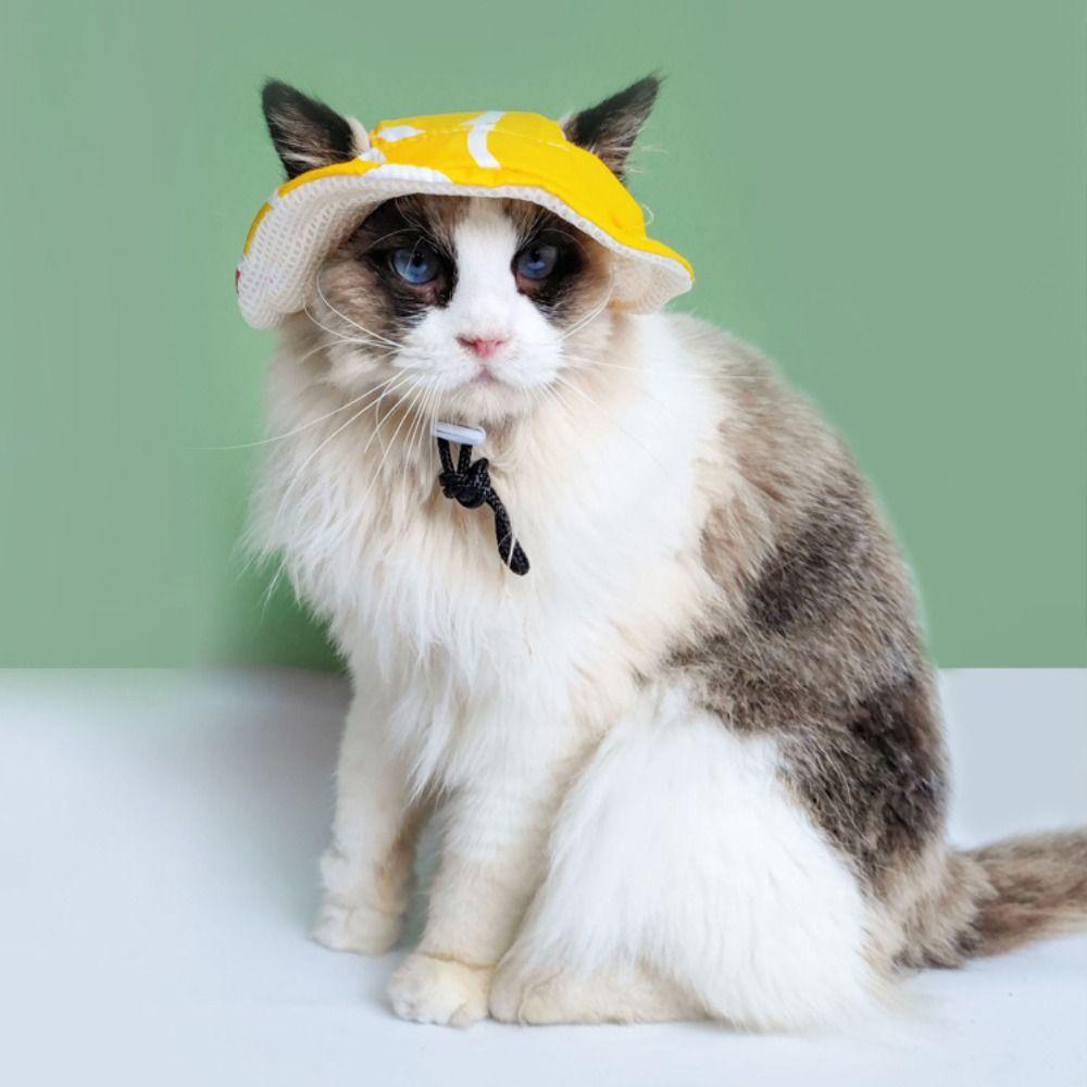 

Cartoon Dog Fisherman Hat Fruit Printing Dog Baseball Caps Cat Sunscreen Hat Outdoor Hiking L розовый