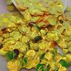 13mm Gold Seashell Sequins for Mermaid Eye Makeup & DIY