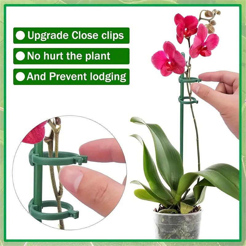 10set Plant Support Piles Plant Climbing Support Frame Green Plant Support Rods For Potted Tomatoes Peonies Lilies Roses