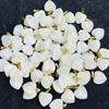 5Pcs, White Natural Shell Pendant With Gold Color Buckle, Fashion Handmade Heart Charms for Jewelry Making DIY Necklace Earring Accessories, 15×15mm