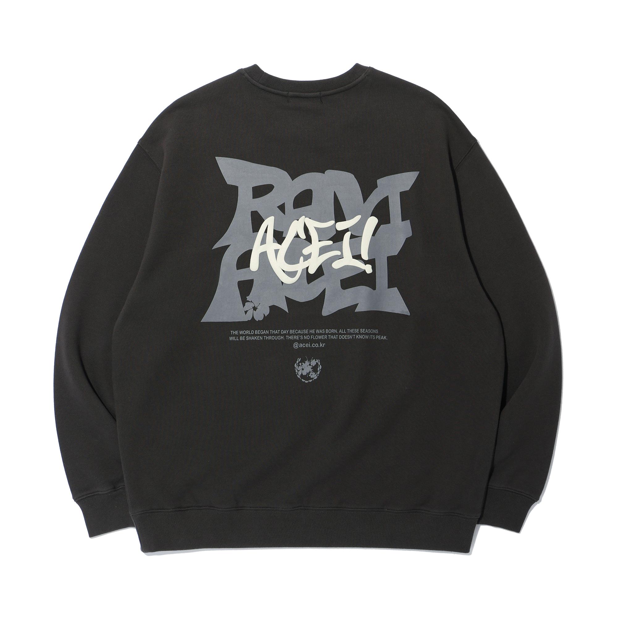 Свитшот с принтом Asei Ravi Bag Artwork Угольно-серый (Университет) Charcoal Gray/M