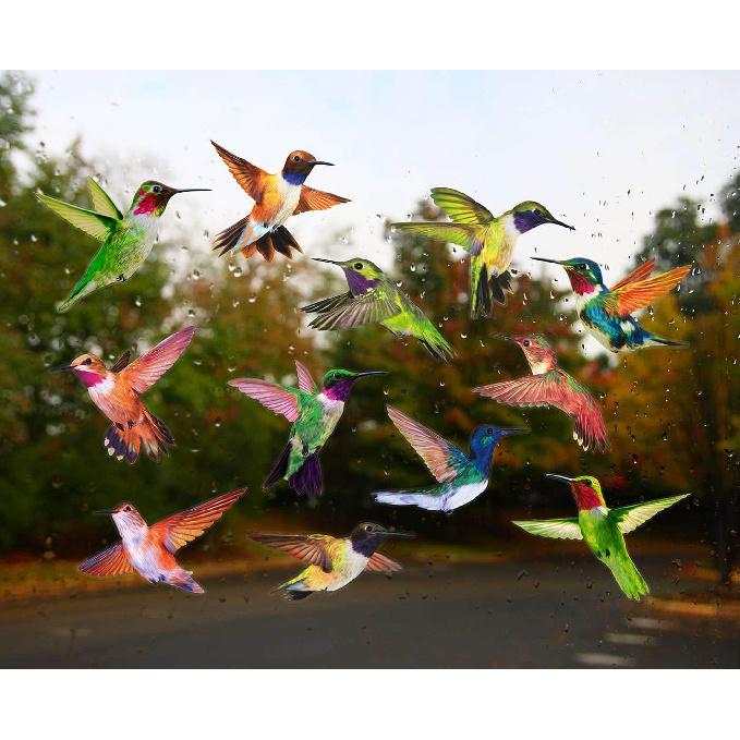Anti-Collision Window Clings Bird Alert Collision Decals To Prevent Bird Strikes On Window Glass - Set of 12 Hummingbirds