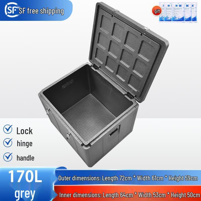 Insulated Cooler and Food Delivery Box
