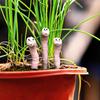 Potted Plant Water Sensor Worm Moisture Monitor Planter Insert Humidity Meter Sensor for Home Gardening Houseplants